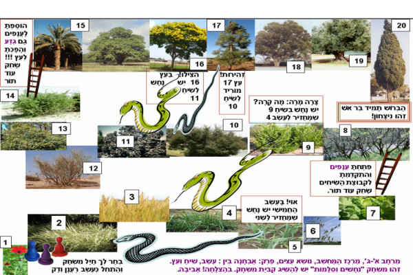 משימת המחשב השניה משחק מסלול